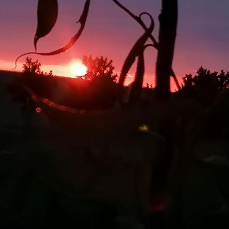 Ferienwohnung Am Haffberg Neverow Zewnętrze zdjęcie