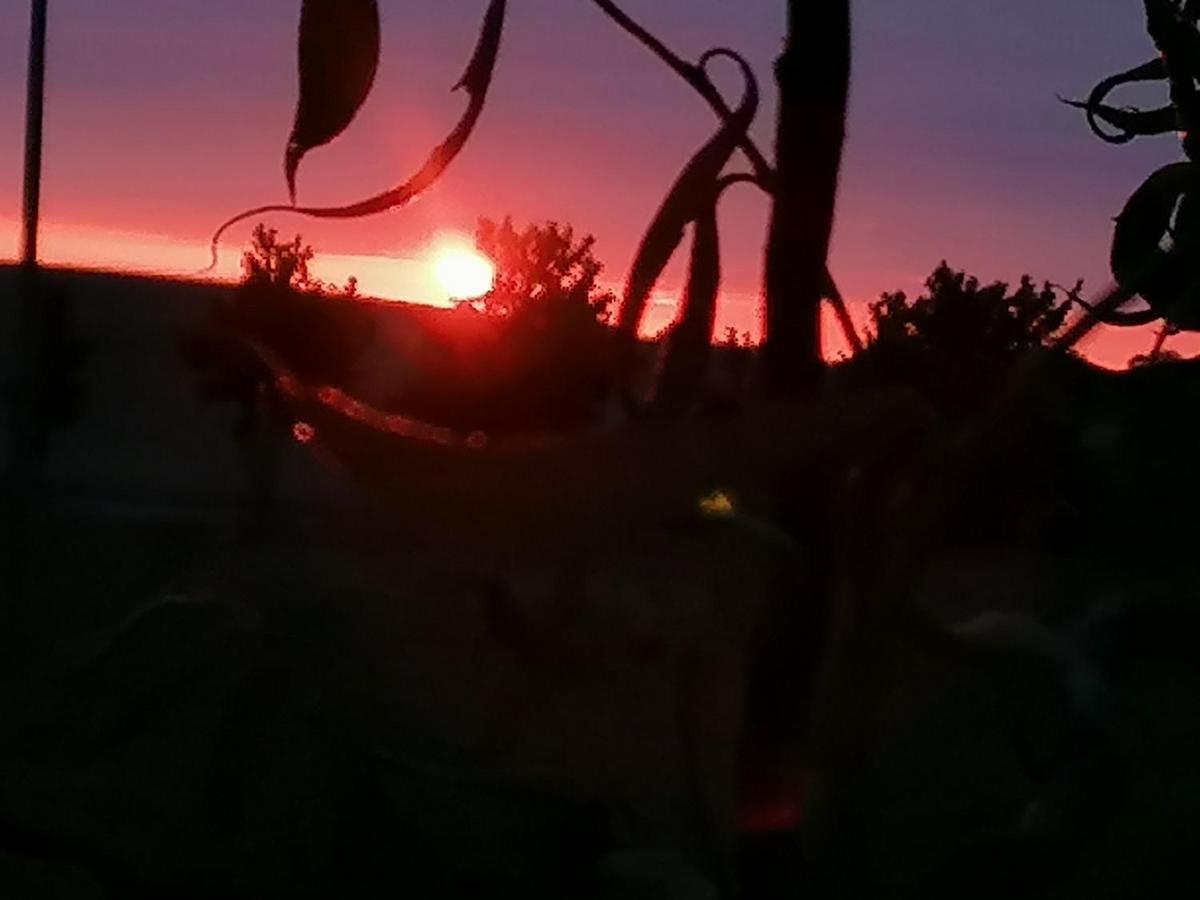Ferienwohnung Am Haffberg Neverow Zewnętrze zdjęcie