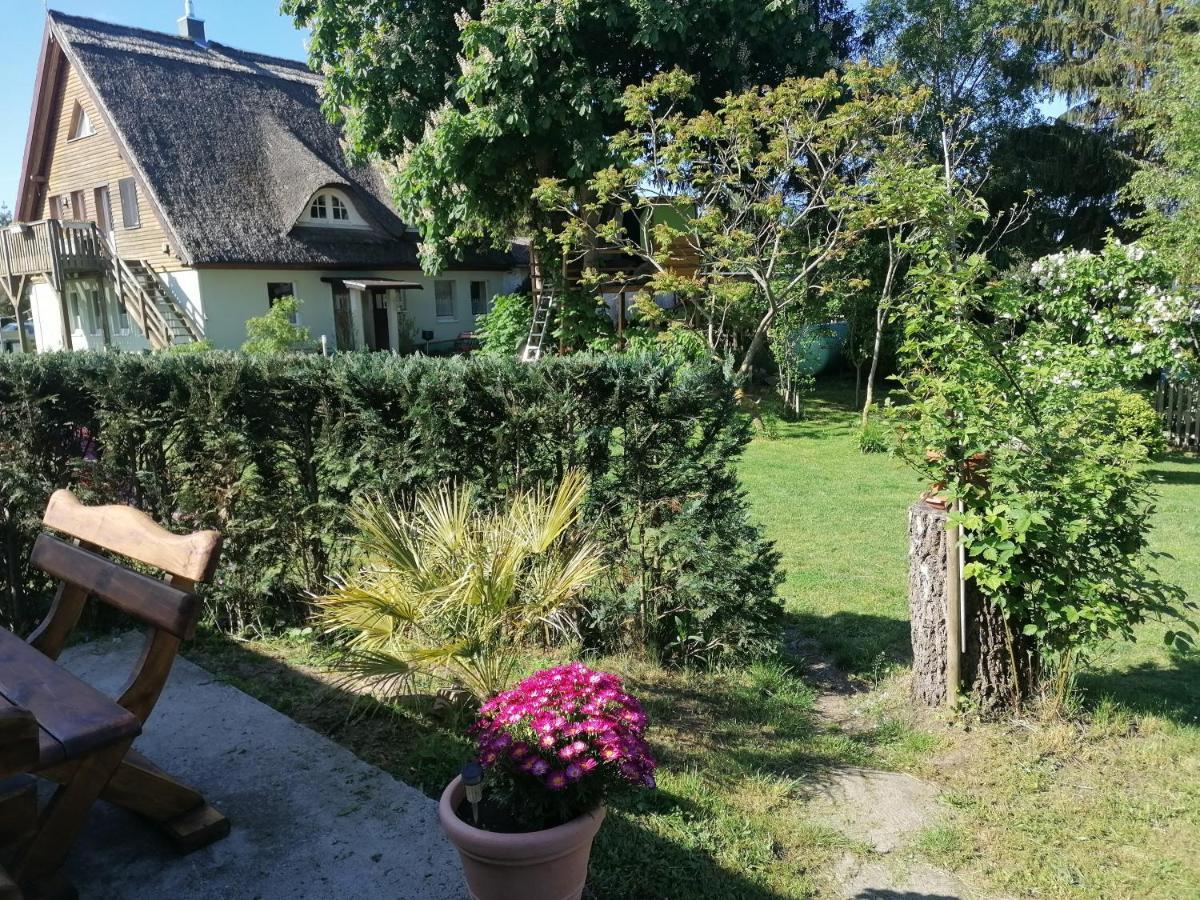 Ferienwohnung Am Haffberg Neverow Zewnętrze zdjęcie